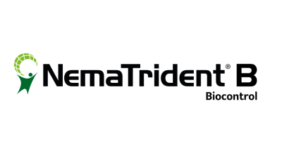 Nematrident B