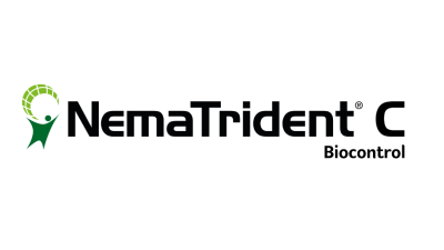 Nematrident C