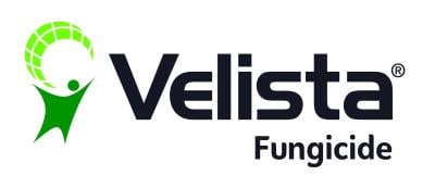velista_cmyk
