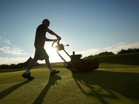 Summer actions to improve turf quality can put extra stress on plants