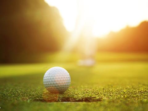10204_x_576_growing_day_degrees_to_help_better_time_turf_management_decisions.jpg