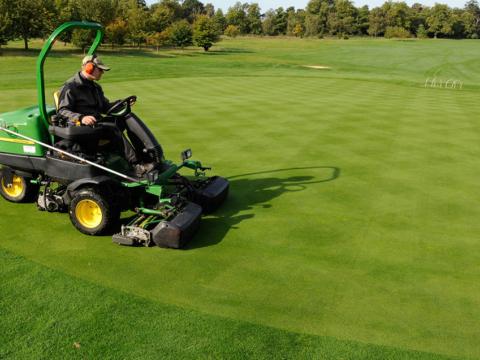 1024_x_576_mowing_primo_maxx_treated_greens.jpg