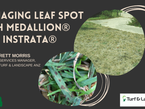 managing_leaf_spot_with_medallion