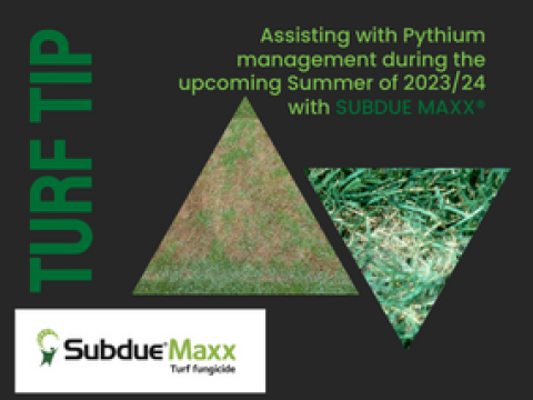 subdue_maxxr_web