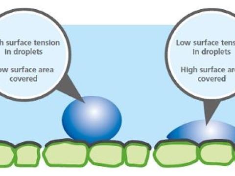 dm_19-036_monument_sedge_edm_-_non-ionic_surfectant_460x248.jpg