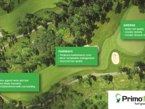Primo Tee to Green image