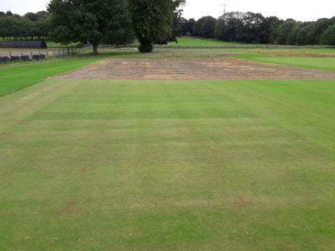 overview looking from s to n gdd trial in foreground