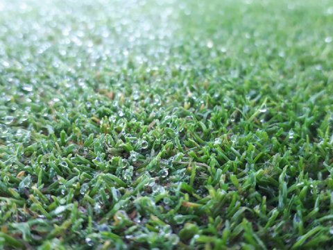 frost