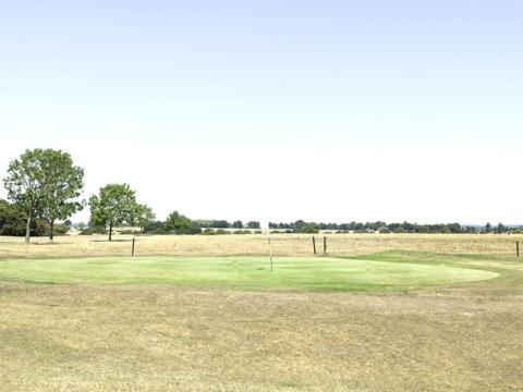 Heat stress dry patch
