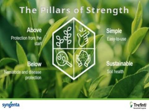 Trefinti: The Pillars of Strength