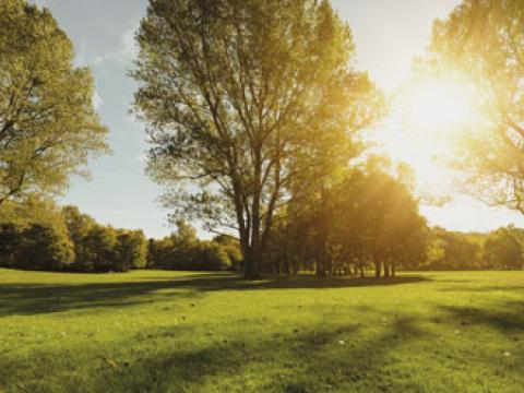 Turf Range