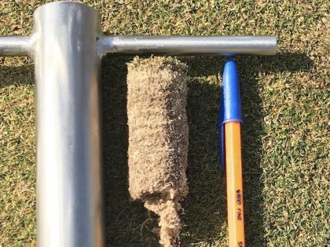 Qualibra: The Dual-Action Wetting Agent for South African Golf Courses