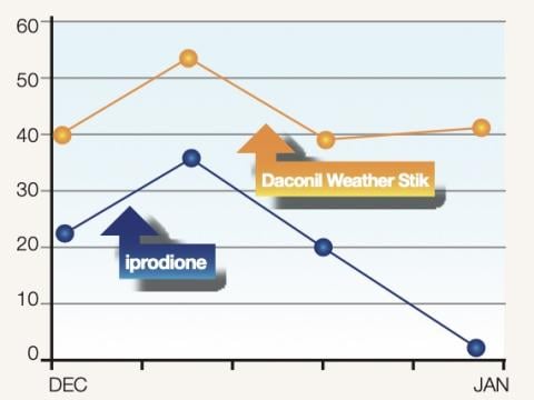Daconil Weatherstik Fungicide for Turf in South Africa