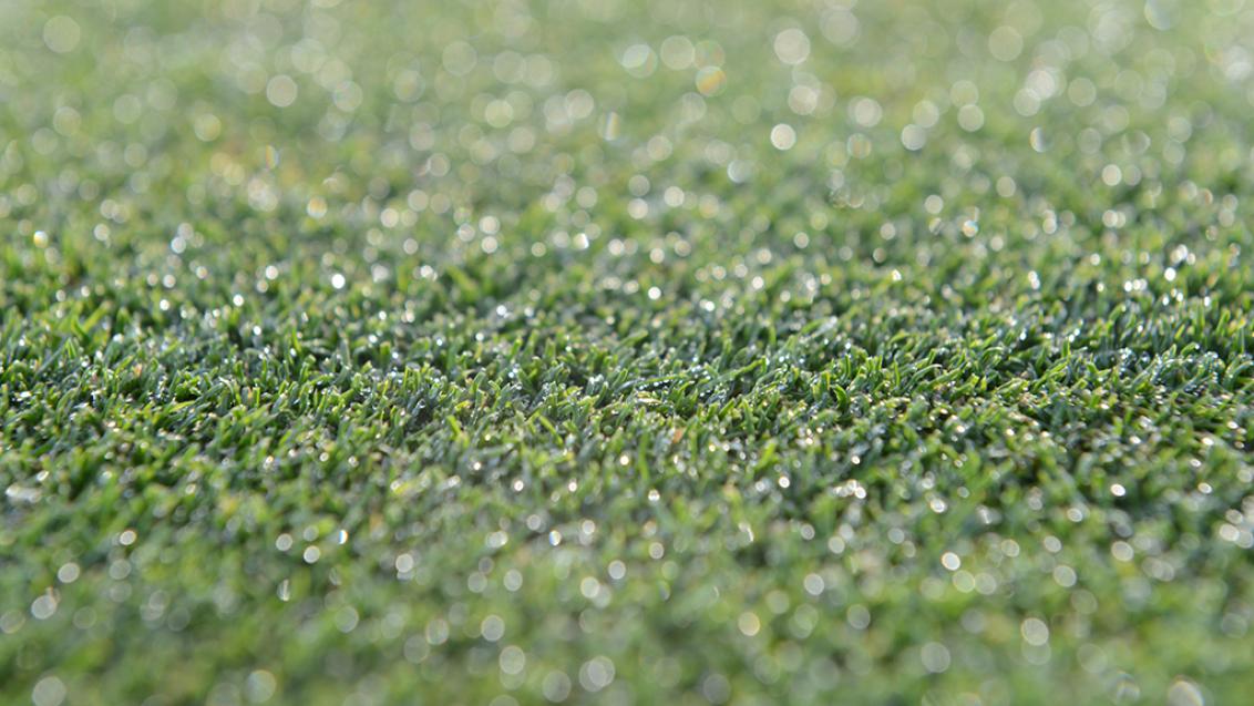 1024_x_576_dollar_spot_thrives_in_heavy_dew_and_high_humidity_conditions.jpg