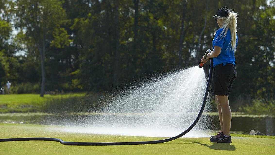 1024_x_576_hand_watering_15281.jpg