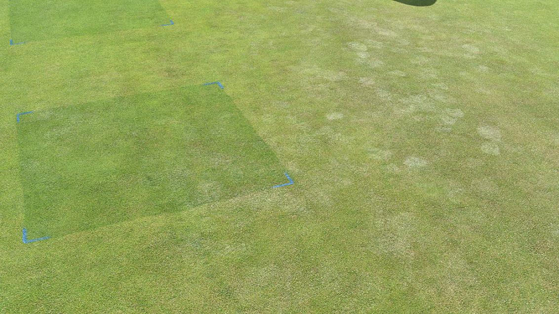 1024_x_576_stressed_greens_turf_show_effects_of_footmarks_compared_to_ryder_treated_trial.jpg