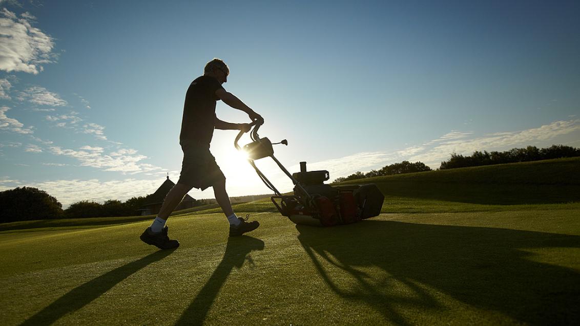 Summer actions to improve turf quality can put extra stress on plants