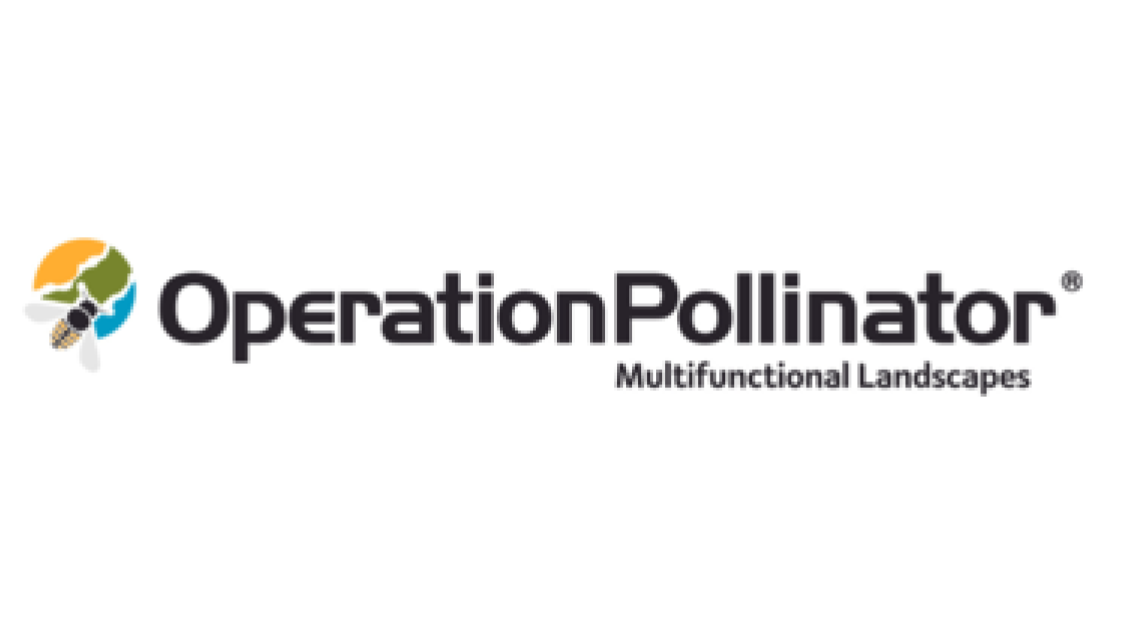 Operation Pollinator
