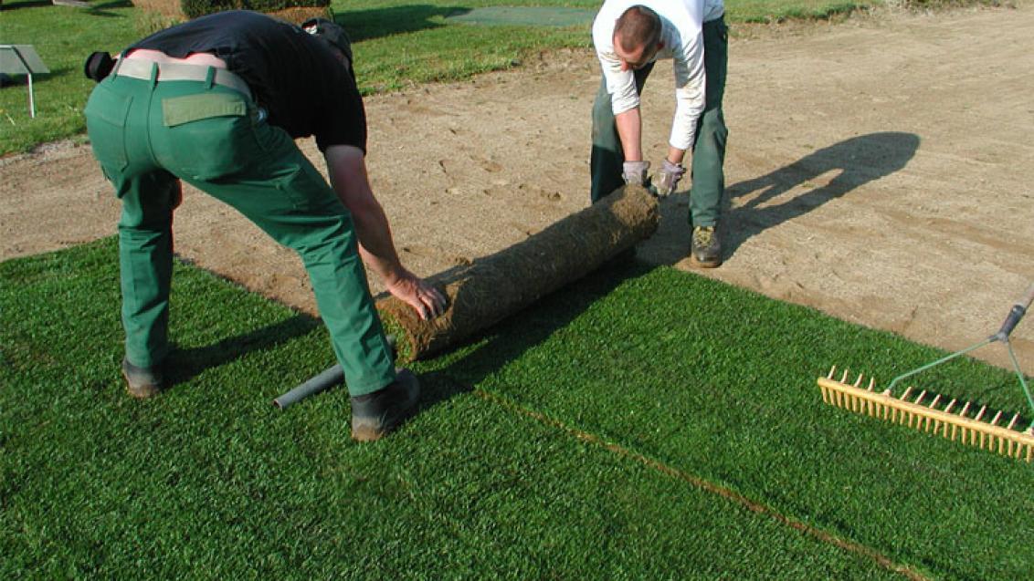 rollrasen