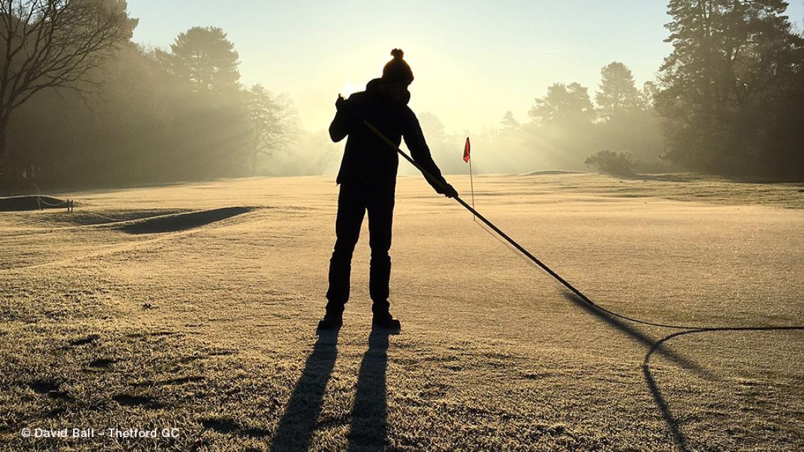 switching dew david ball thetford gc