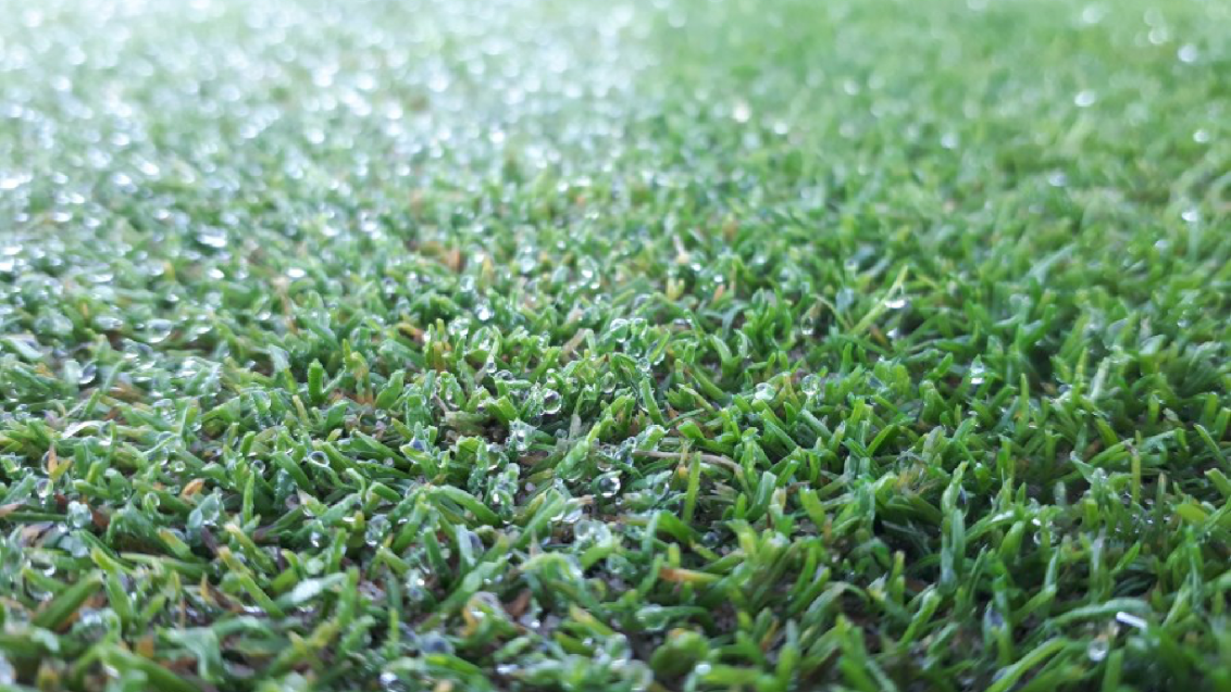 frost