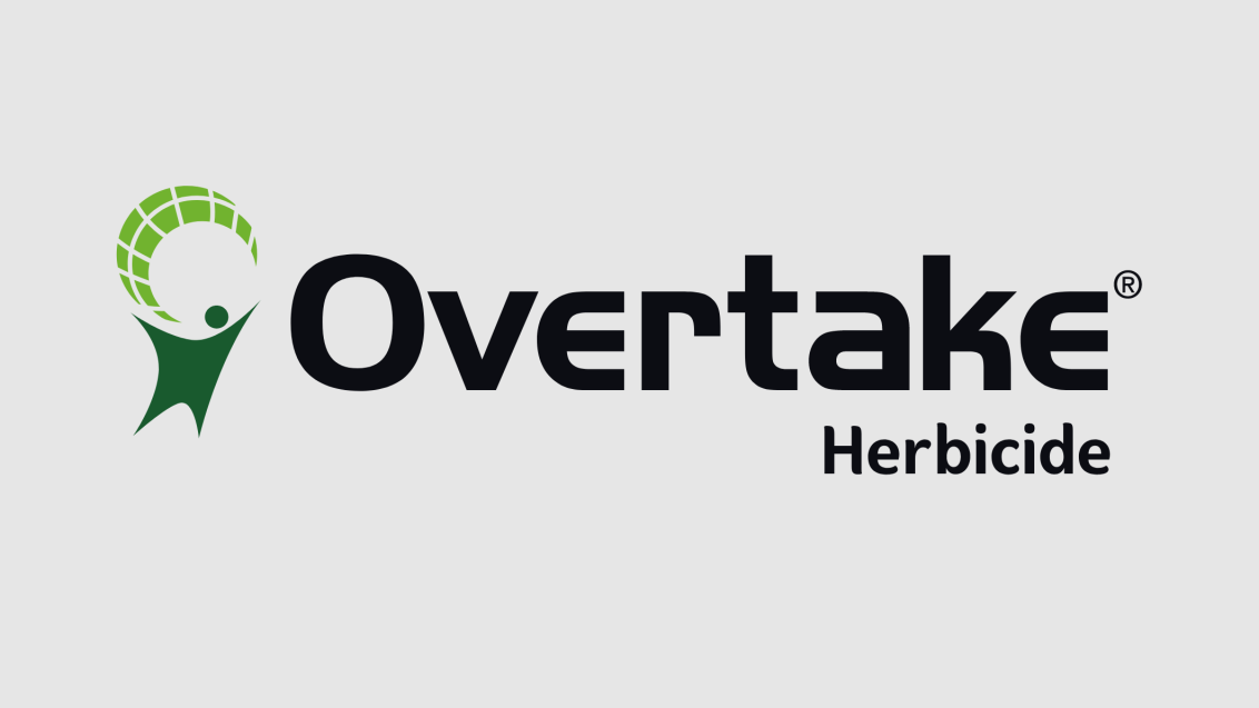 overtake
