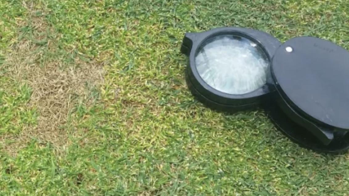 Turf Care South Africa 