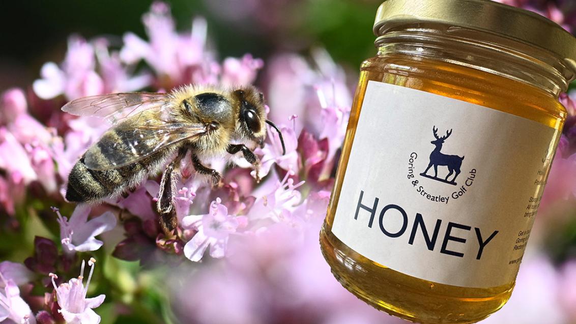 1024_x_576_honey_bee_on_thyme_with_gs_honey_2.jpg