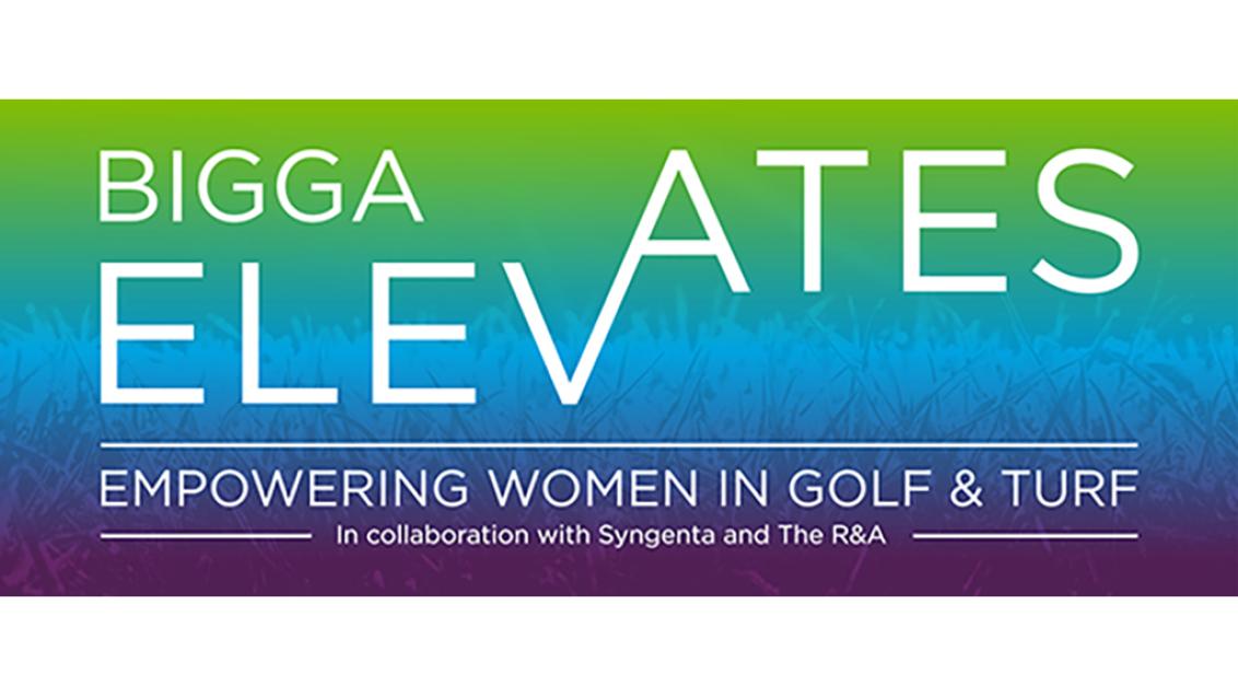 1024_x_576_bigga_elevates_header.jpg