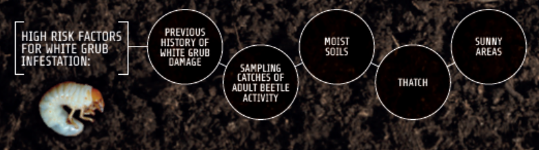 High risk factors