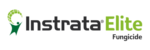 Instrata Elite fungicide