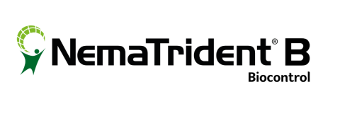 Nematrident B