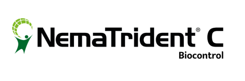 Nematrident C