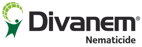 Divanem nematicide