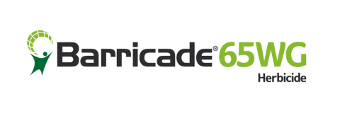 Barricade herbicide