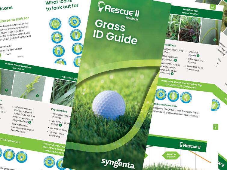 Syngenta Rescue II Grass ID Guide