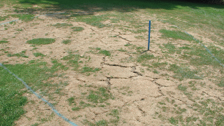 trockenheit