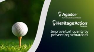 Syngenta Turf & Landscape graphic on nematode prevention, with golf ball on tee and logos
