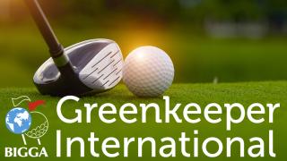 Spotlight on turf health