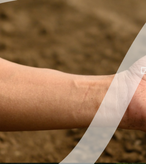 Hand holding soil with a small plant sprout, icons above showing sun, thermometer, and water