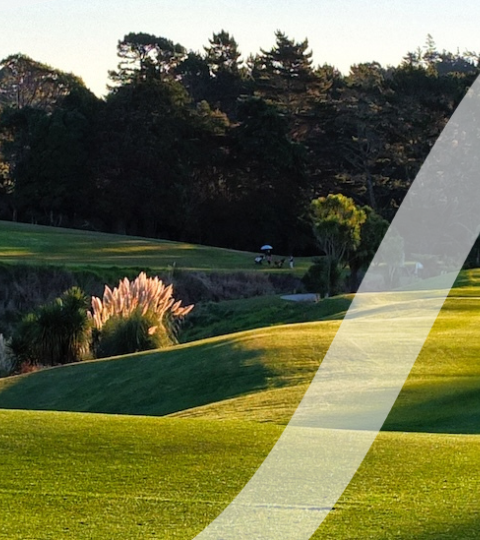 Sunlit golf course with rolling green fairways and trees in the distance