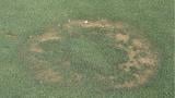Fairy Ring Type 1