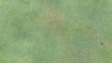 Anthracnose attacking the Poa in a Poa-Bent Green