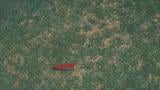 anthracnose_carousel