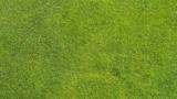 waitea_patch_1