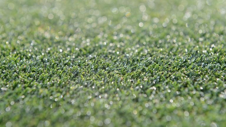 1024_x_576_dollar_spot_thrives_in_heavy_dew_and_high_humidity_conditions.jpg