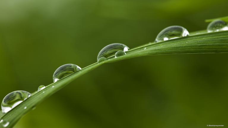1024_x_576_water_drops_on_leaf.jpg
