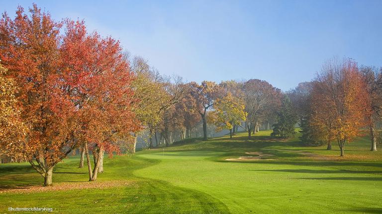 1024_x_576_autumn_low_light_levels_and_shade_impact_on_turf_growth.jpg
