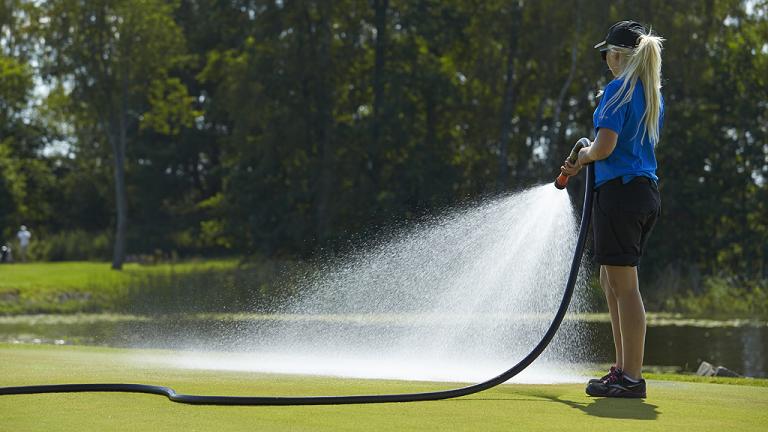 1024_x_576_hand_watering_15281.jpg