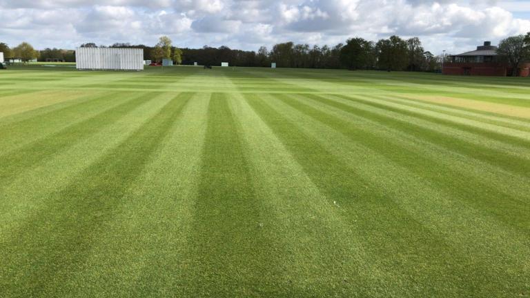 1024_x_576_-_ryder_treated_cricket_field.jpg